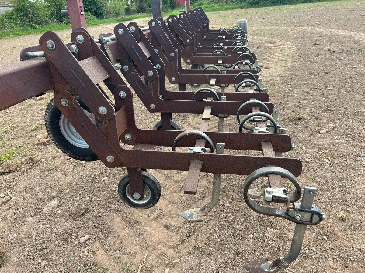 Inter-row Weeder - Image 3