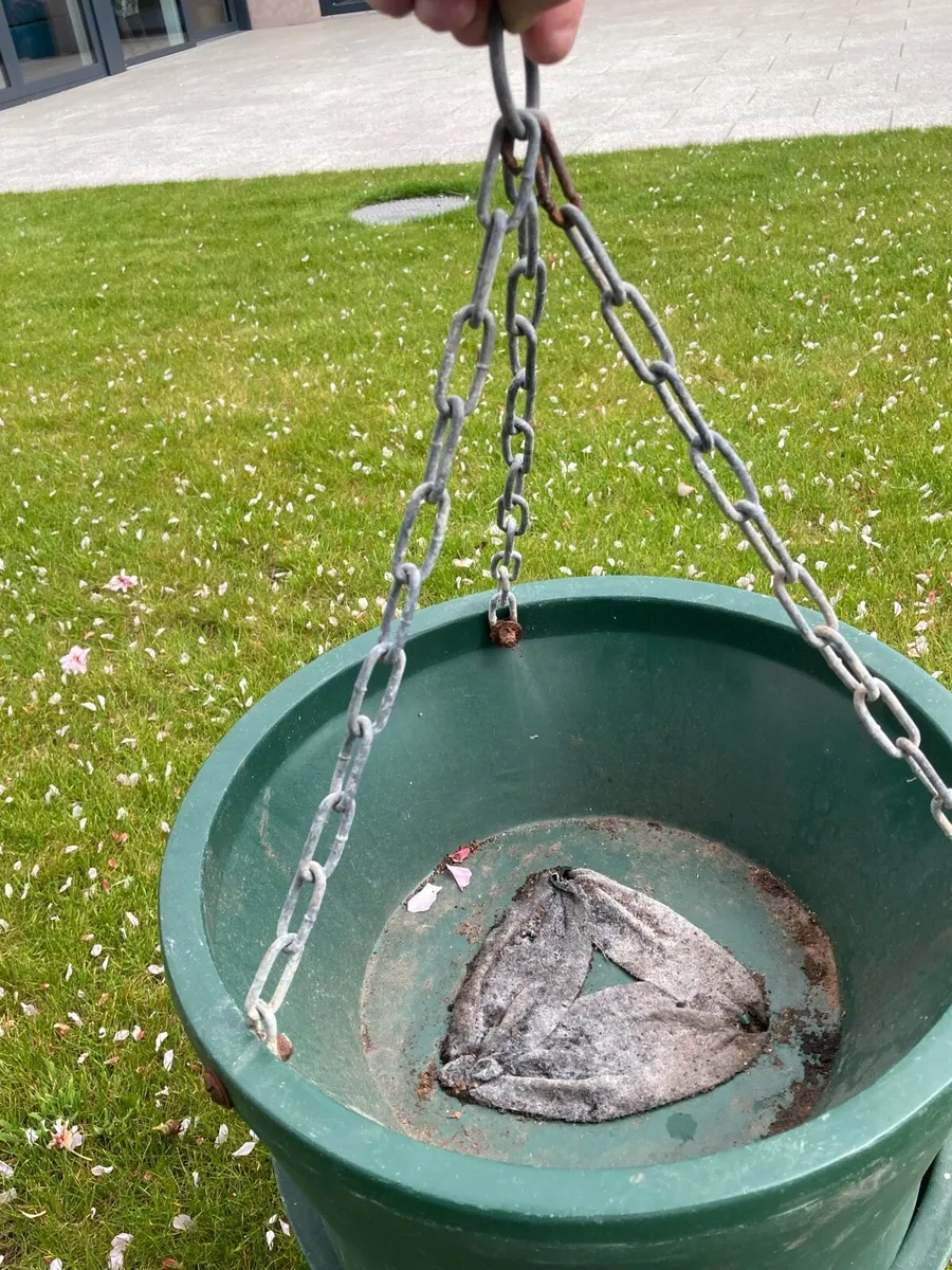 Hanging baskets ( built in water reservoir) - Image 2
