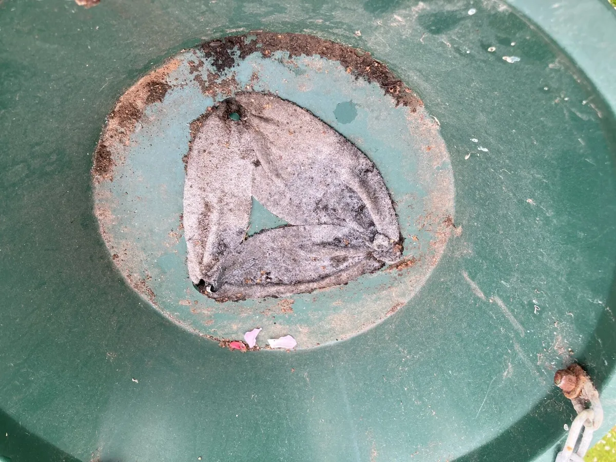 Hanging baskets ( built in water reservoir) - Image 3