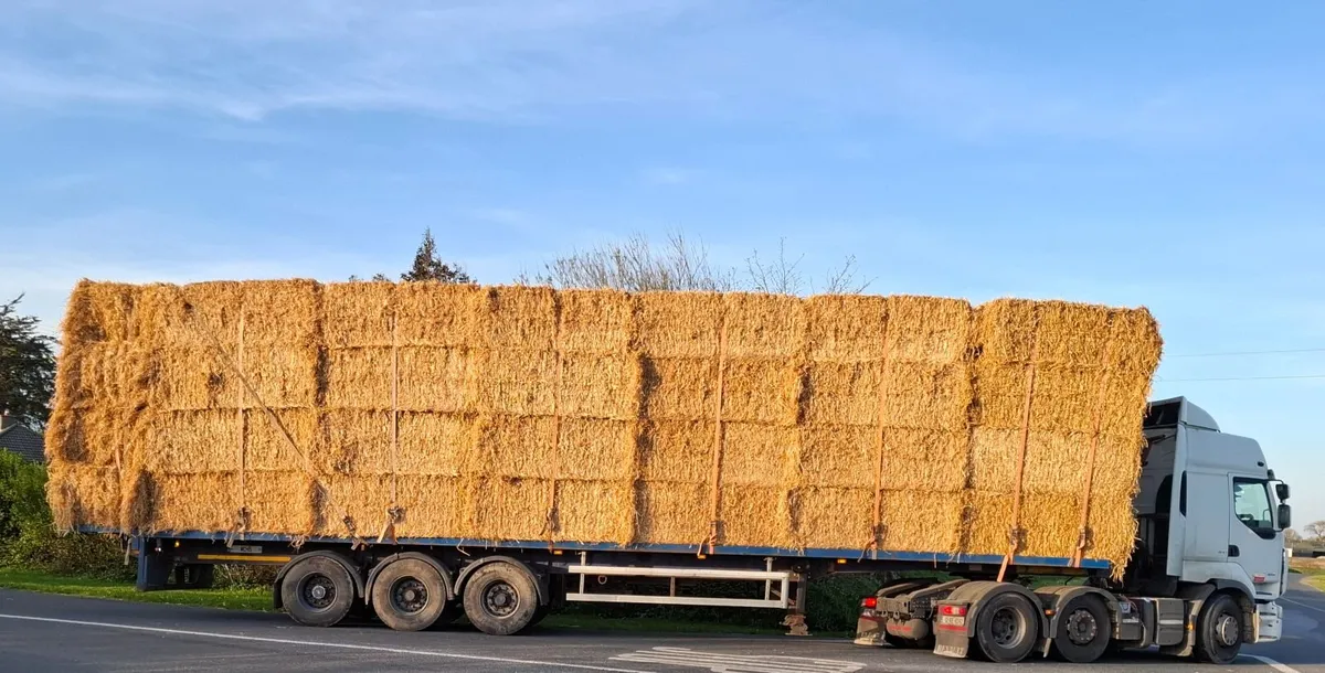 8x4x3s chopped barley straw for feeding/bedding - Image 1