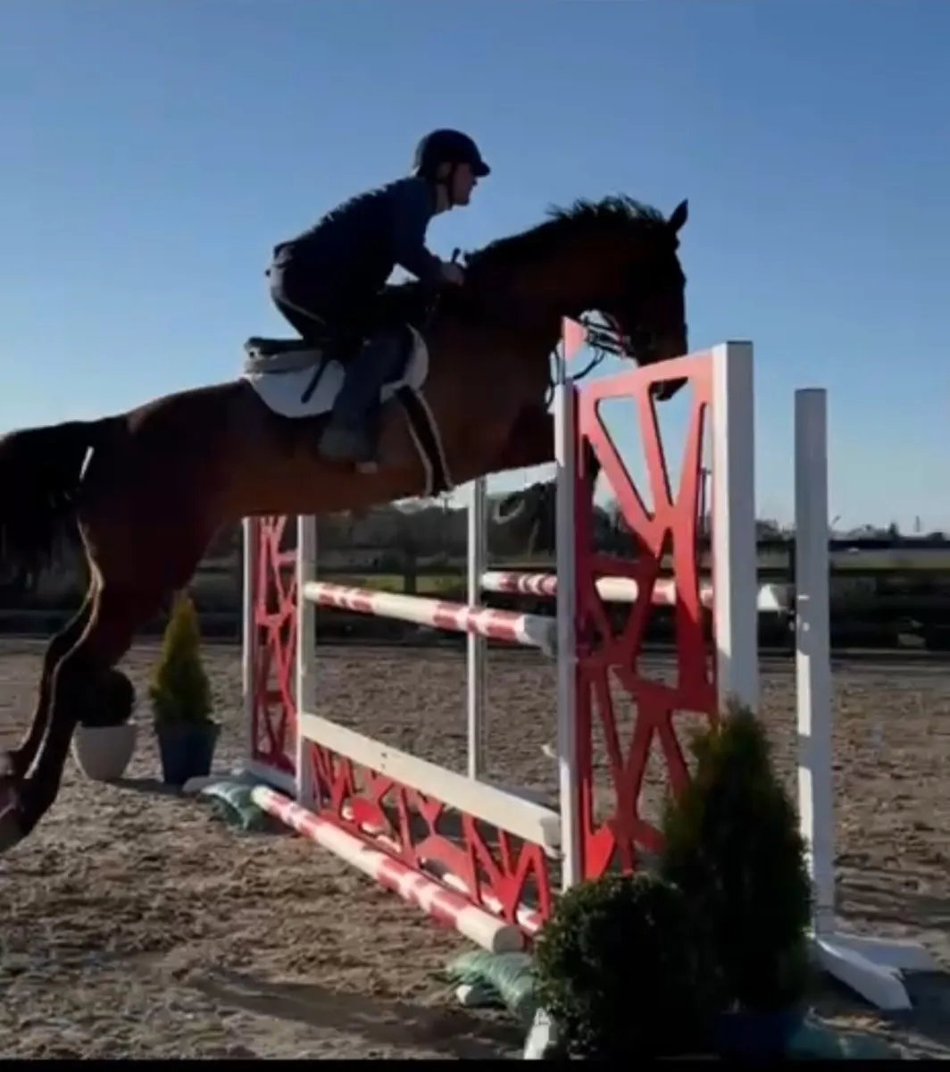 Lot 170 Goresbridge Sales - Image 3