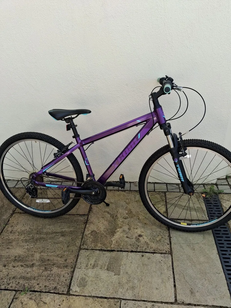 Girls bicycle