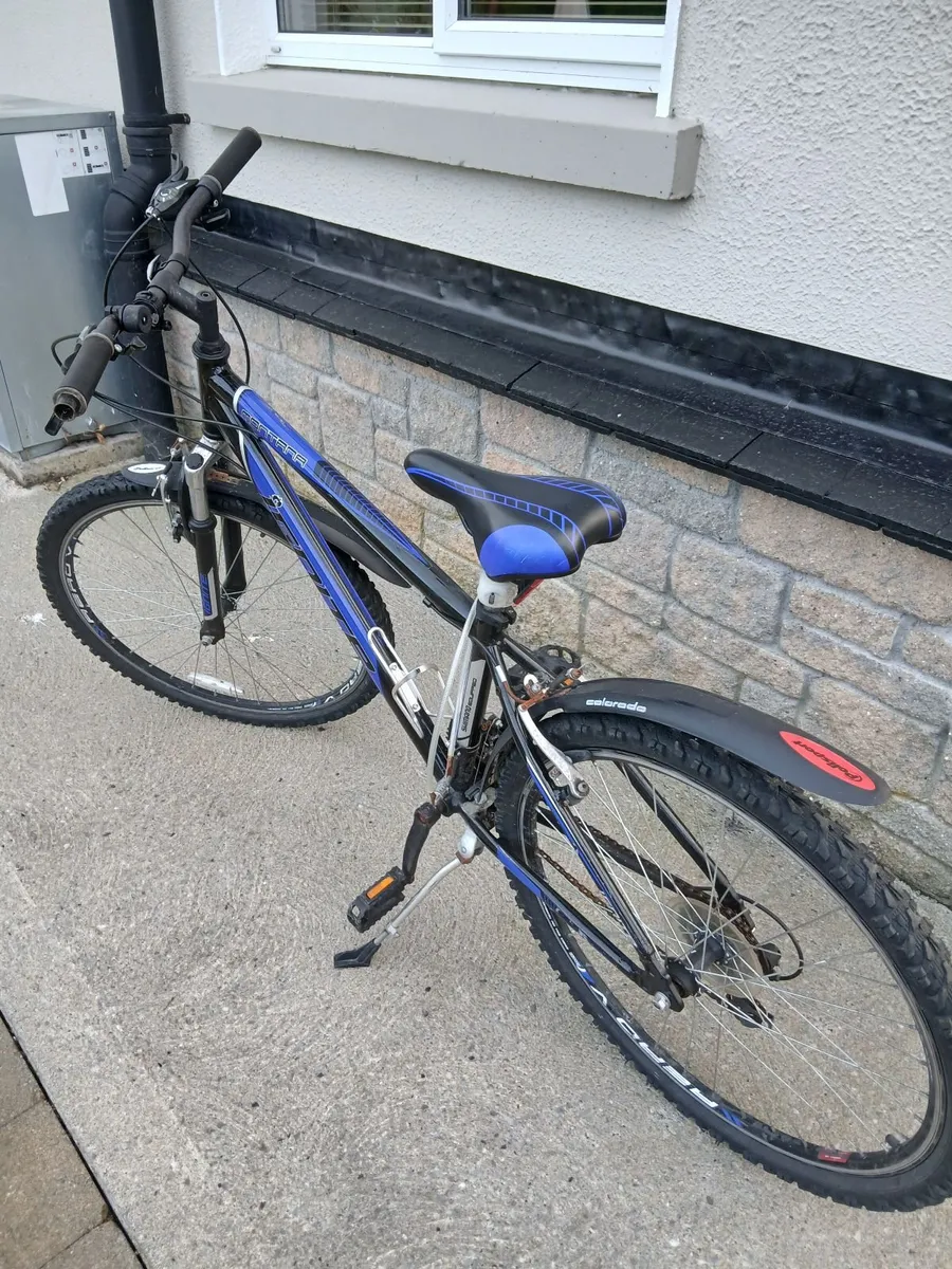 One adult and one teenage bike for sale - Image 1