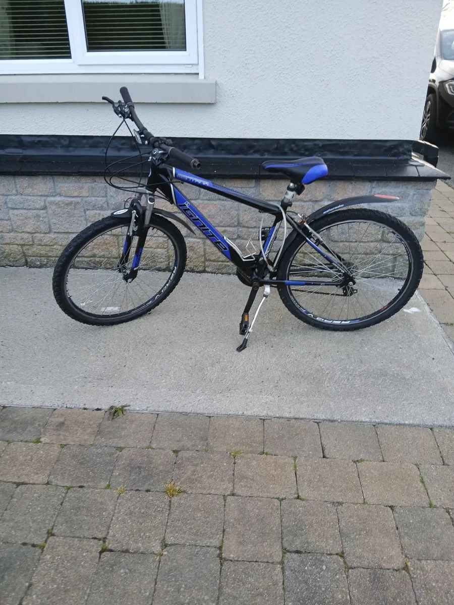 One adult and one teenage bike for sale - Image 2