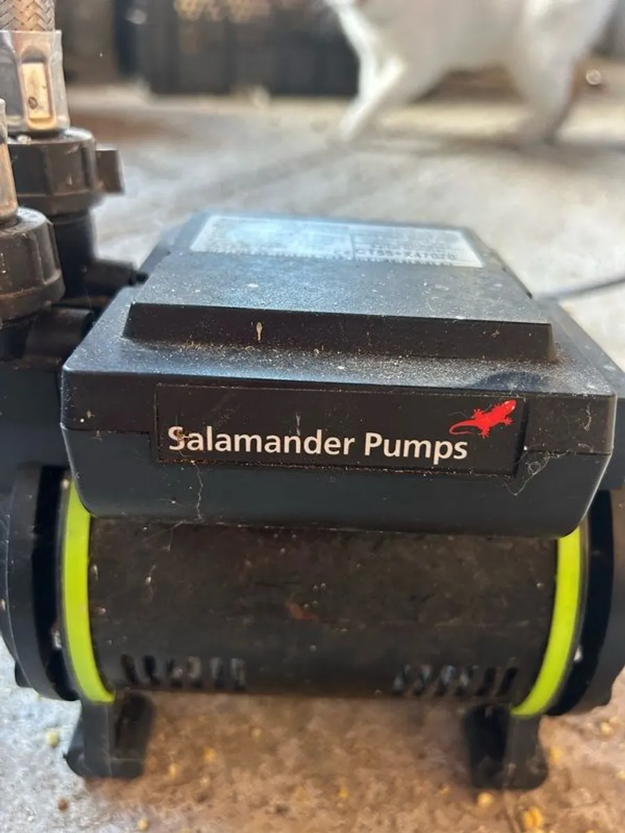 Salamander pump - Image 1