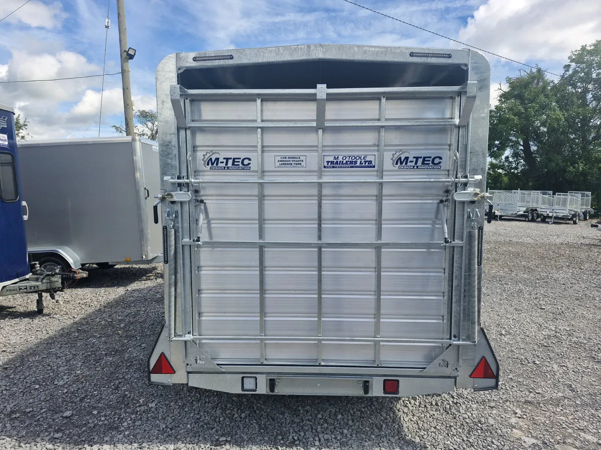 NEW M-TEC  12' X 6'  TRAILER WITH SHEEP DECKS - Image 4