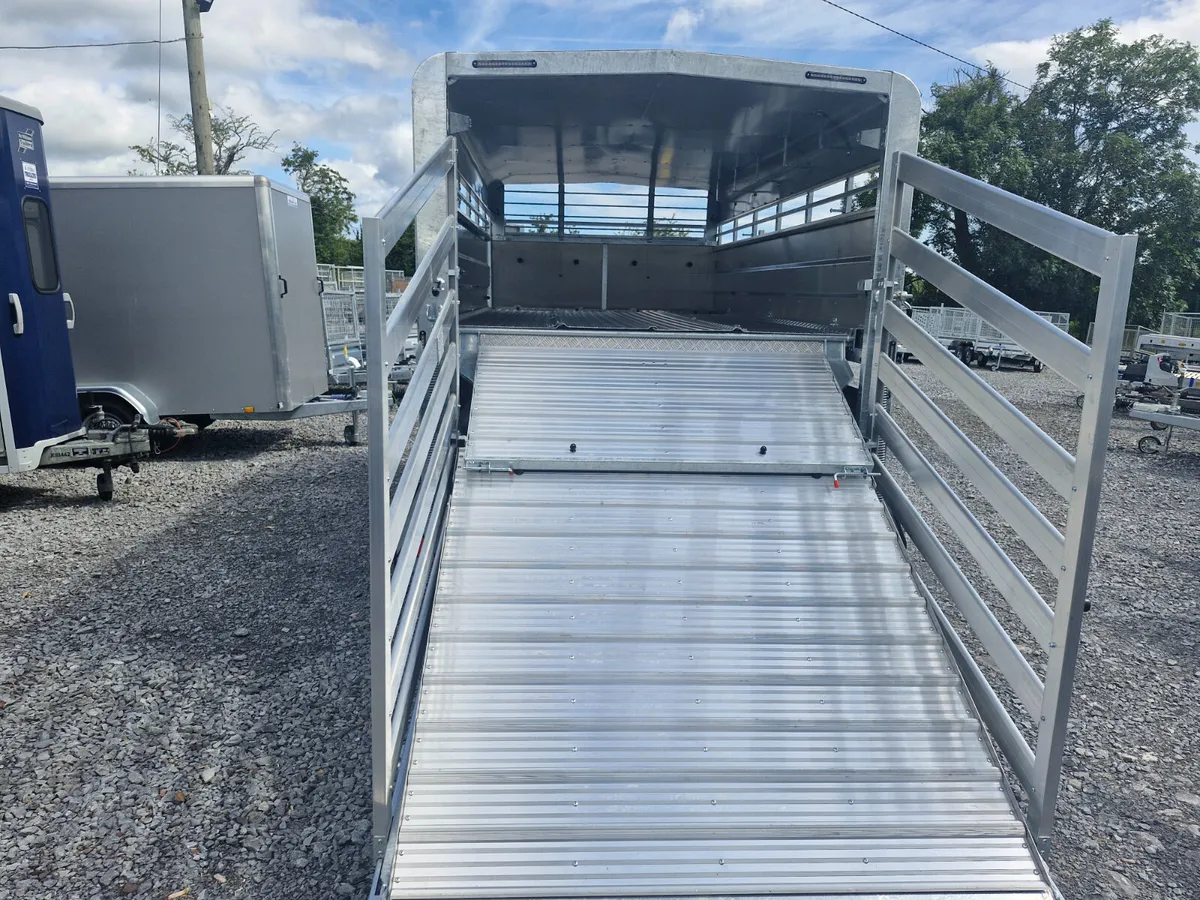 NEW M-TEC  12' X 6'  TRAILER WITH SHEEP DECKS - Image 3