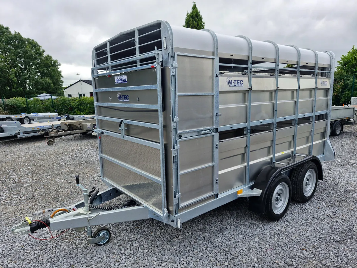 NEW M-TEC  12' X 6'  TRAILER WITH SHEEP DECKS - Image 2