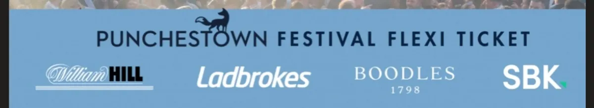 Punchestown Festival Flexi ticket x 2