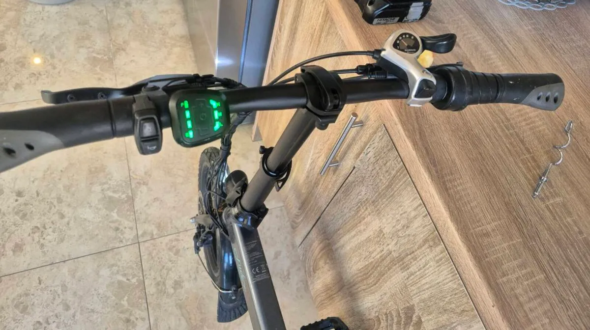 FIIDO D2S ELECTRIC BIKE MAXIMUM SPEED  25 KM/H (CA - Image 3