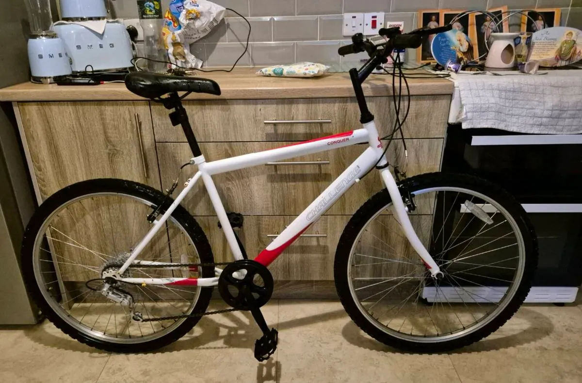 ADULTS CHALLENGE MOUNTAIN BIKE 21 SPEED SHIMANO EA - Image 3