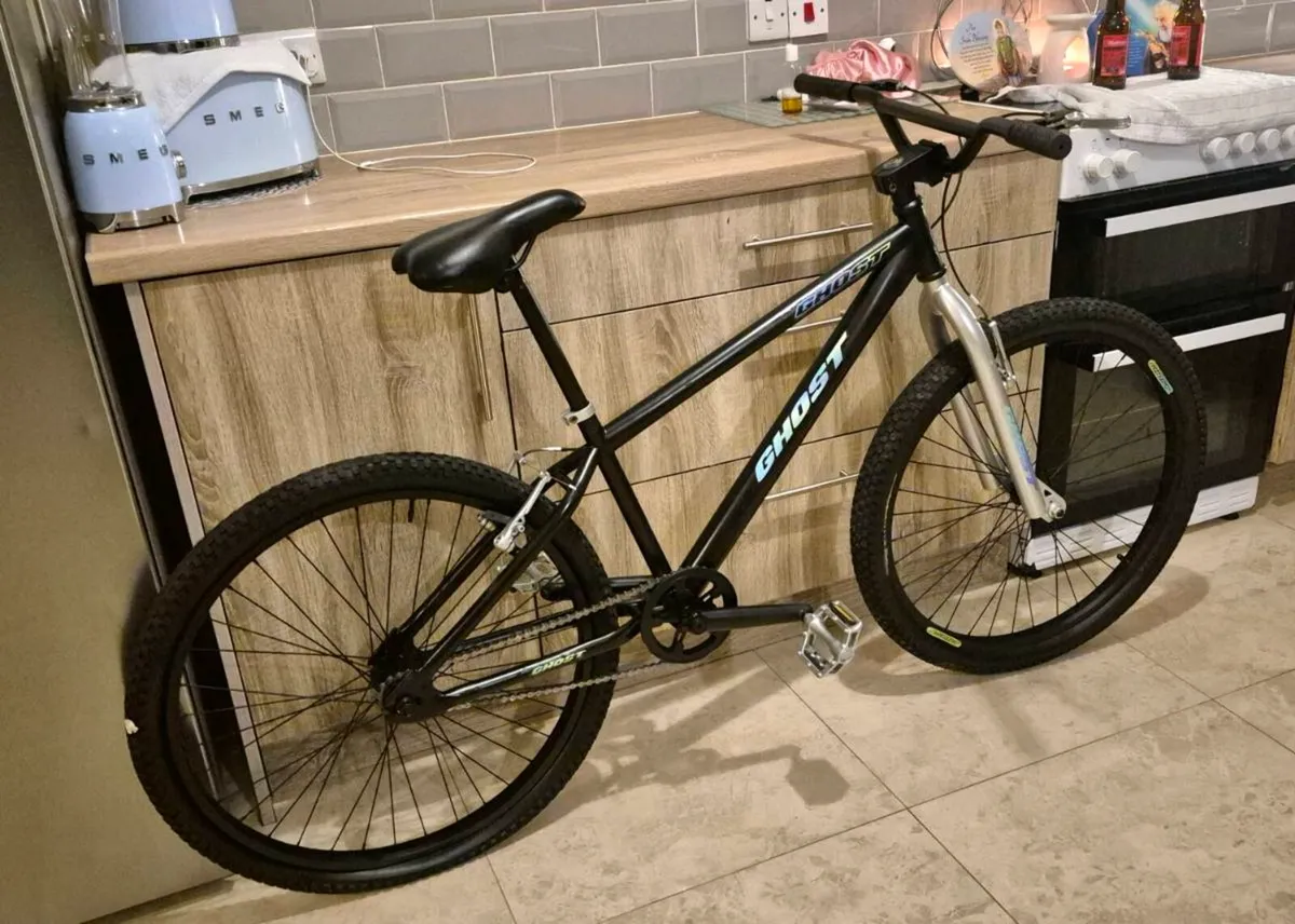 CUSTOM-MADE BIG BMX BIKE EVERYTHING DONE ON IT CON - Image 1