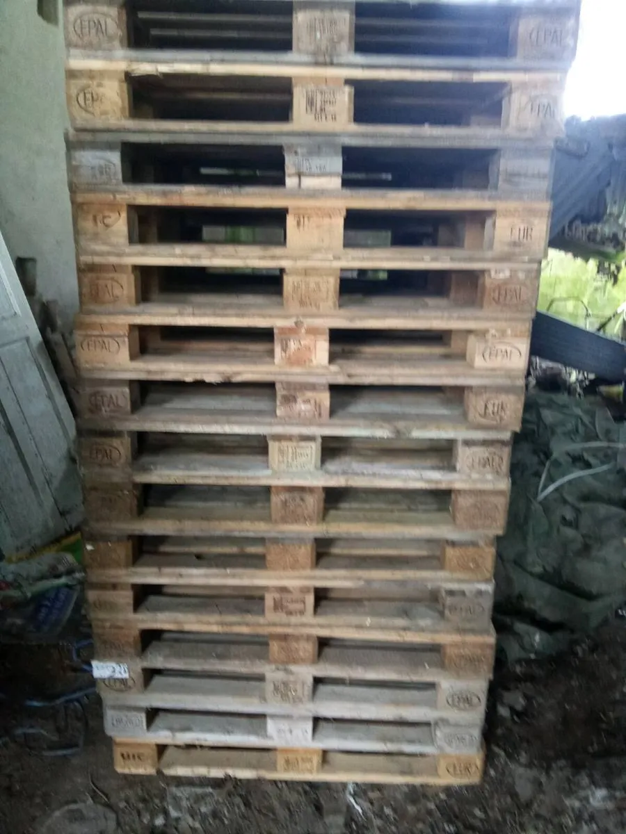 Euro pallets x 50