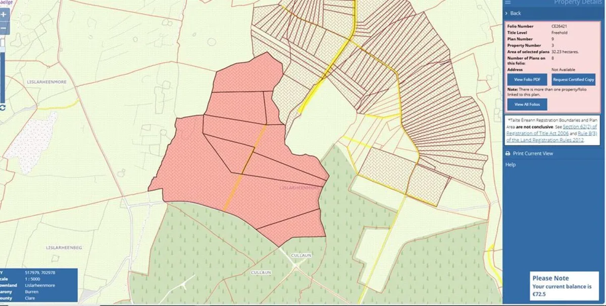 Commonage land for sale - Image 3