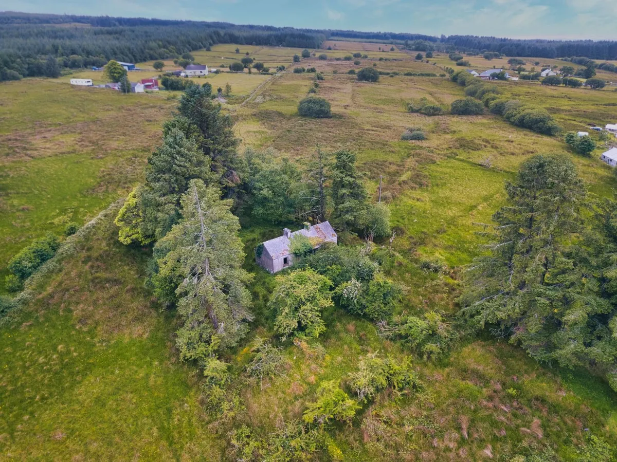 Cottage & Land for sale - Image 3