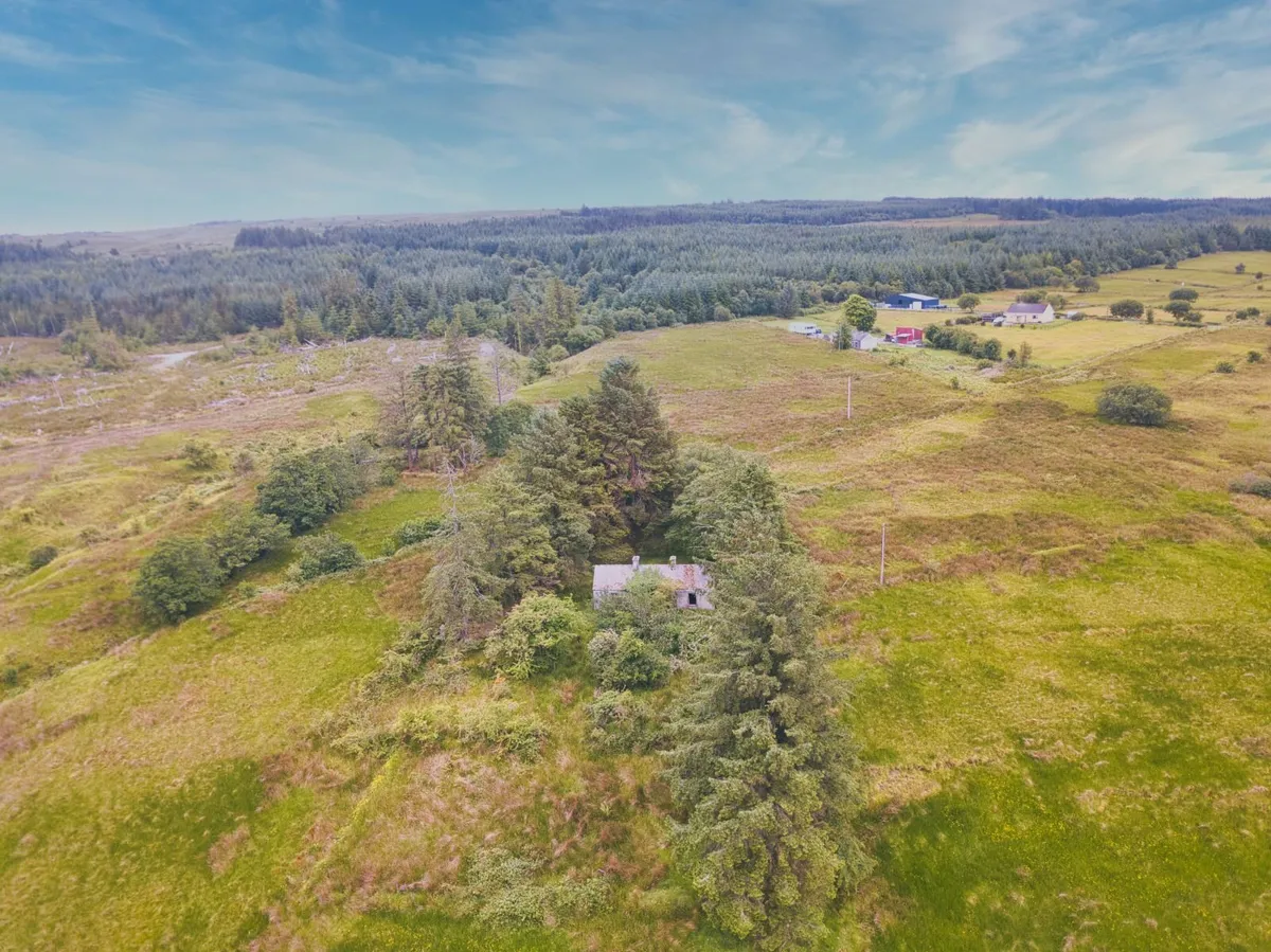 Cottage & Land for sale - Image 4