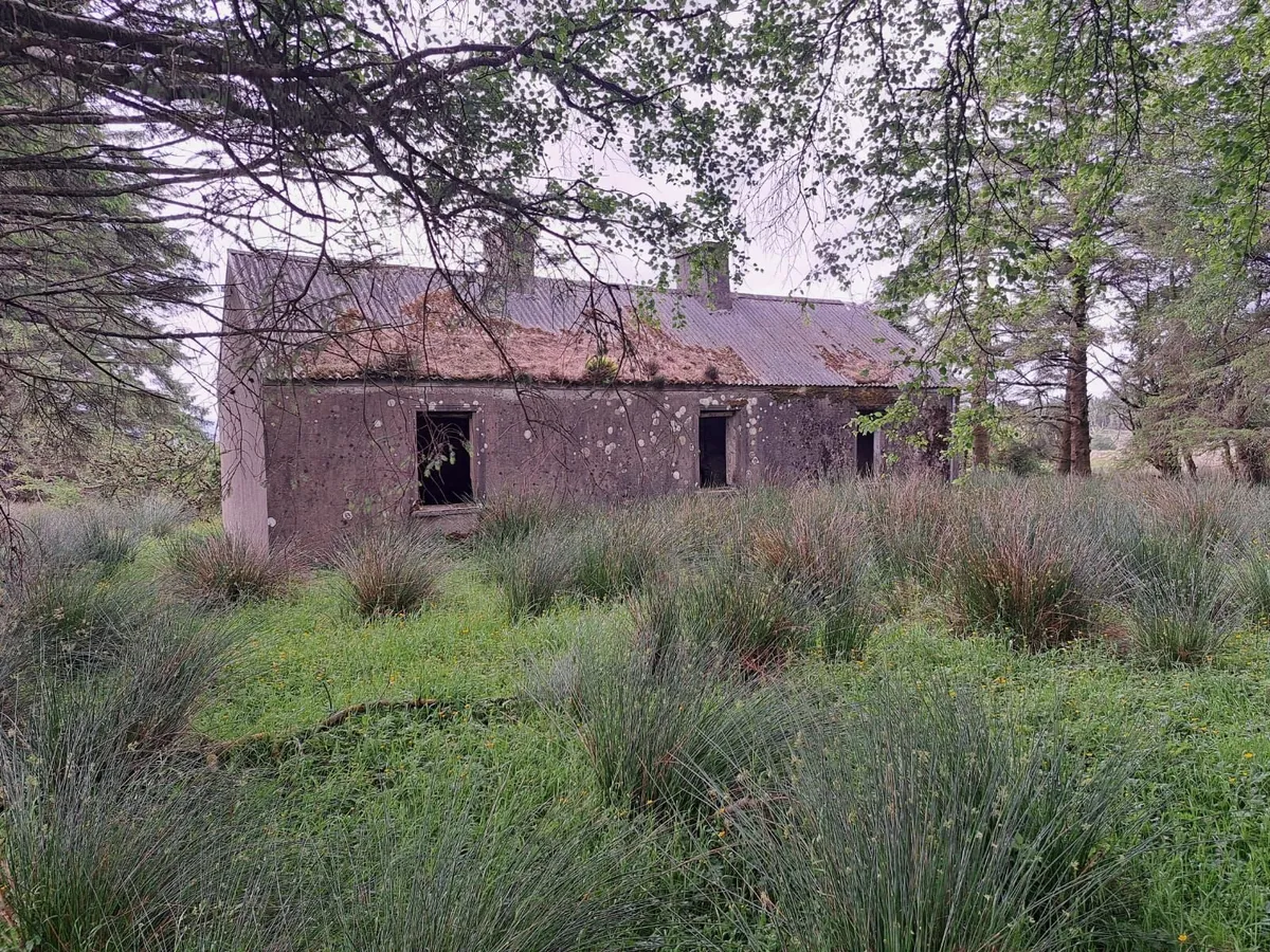 Cottage & Land for sale - Image 2