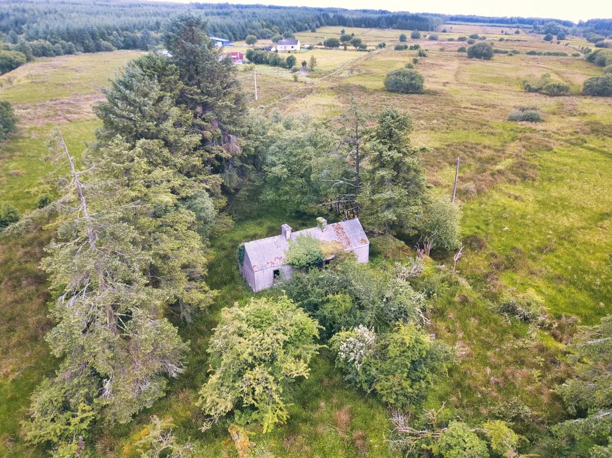 Cottage & Land for sale - Image 1