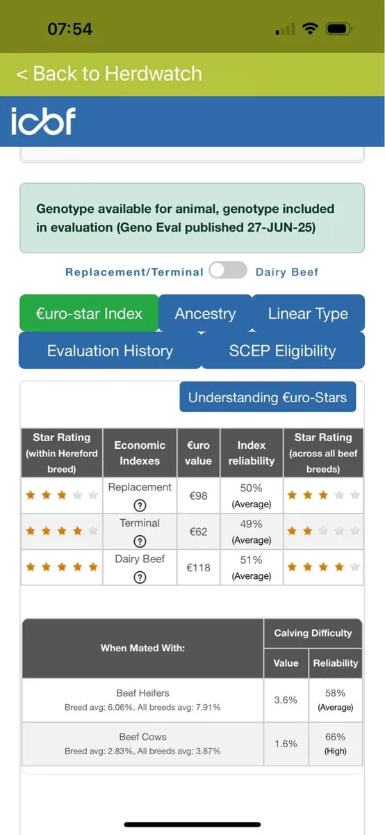 PBR Hereford Bull - Image 2