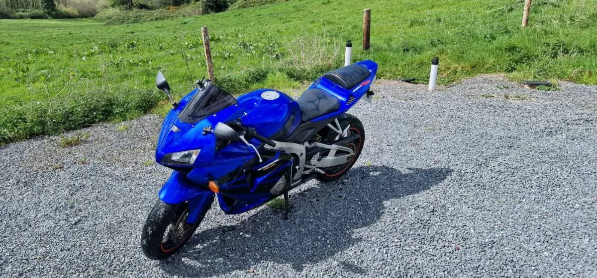 Honda CBR 600 RR - Image 4