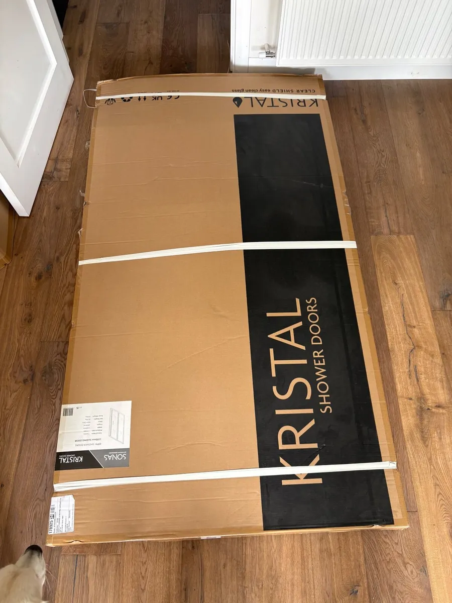 NEW Sonas Shower Door 1100mm - Image 3