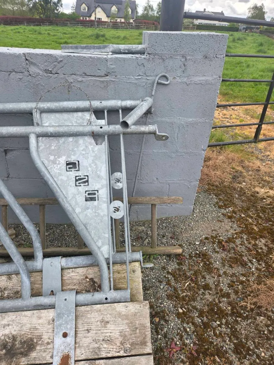 Cattle feeder - Image 3