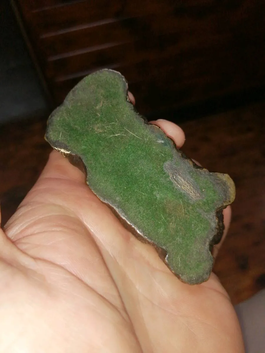 Bronze  dog yorkie - Image 2