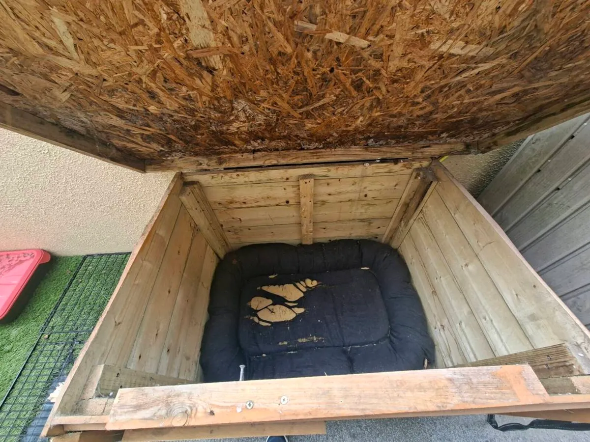 Dog Kennel - Image 3