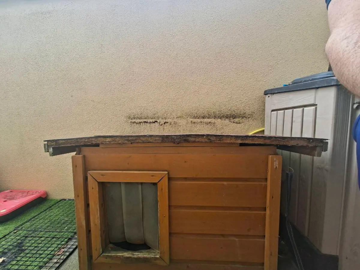 Dog Kennel - Image 4