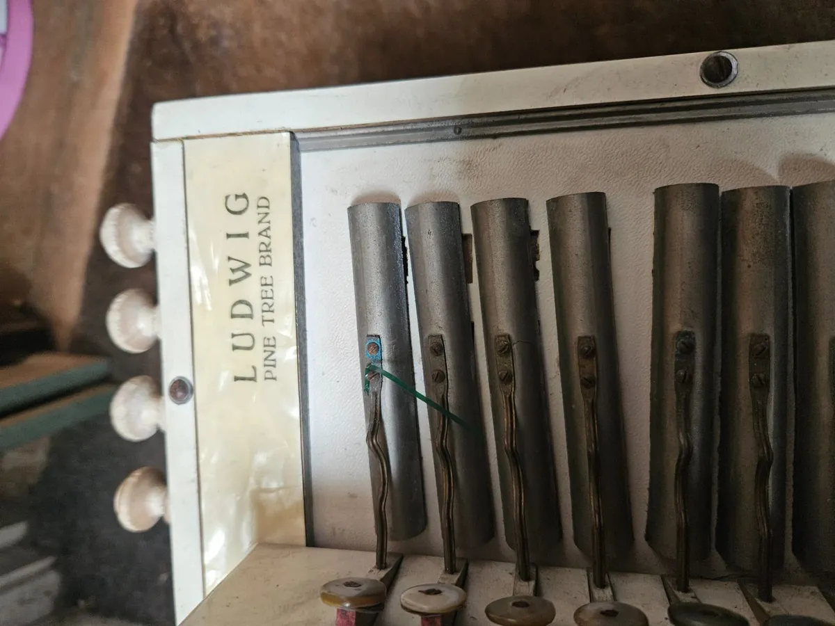 Vintage Antique Accordion - Image 2