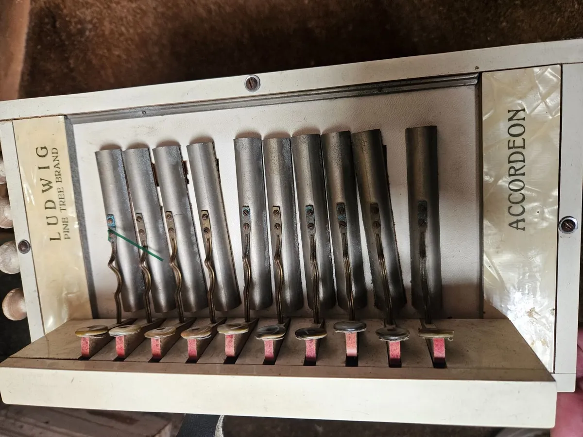Vintage Antique Accordion - Image 3