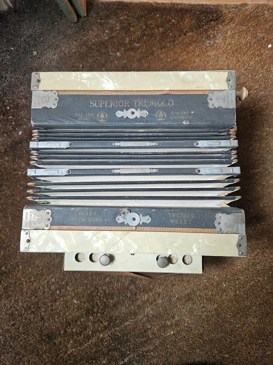 Vintage Antique Accordion - Image 1