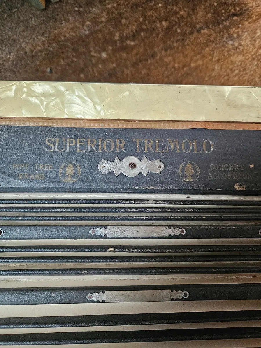 Vintage Antique Accordion - Image 4