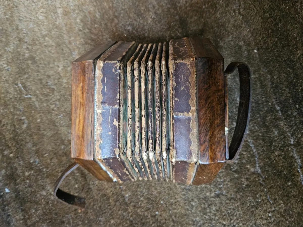 Vintage Accordion - Image 1