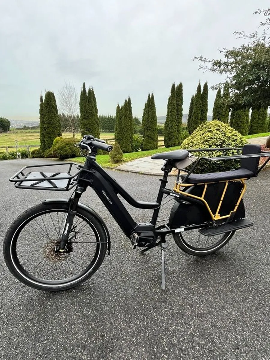 Electric bike - Image 1
