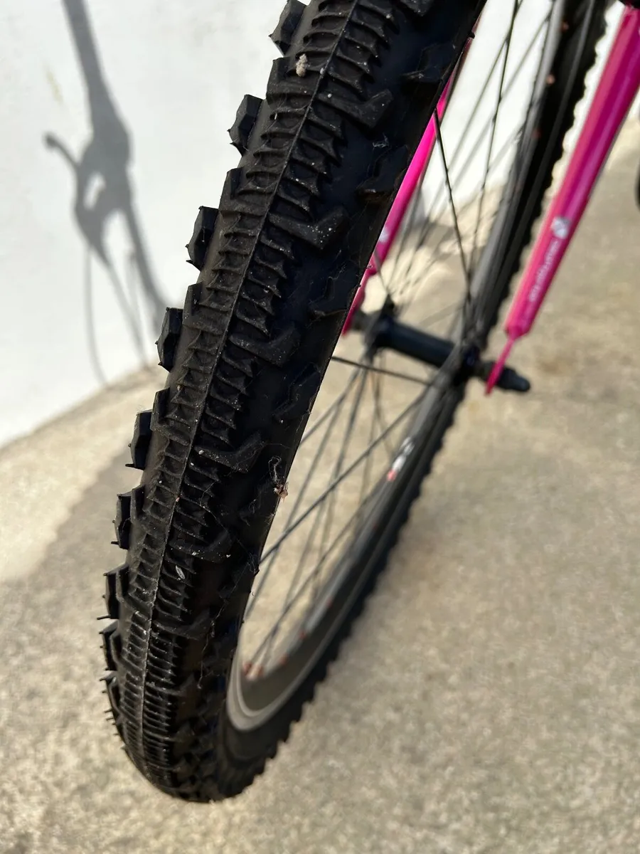 Girls Bicycles - Image 2