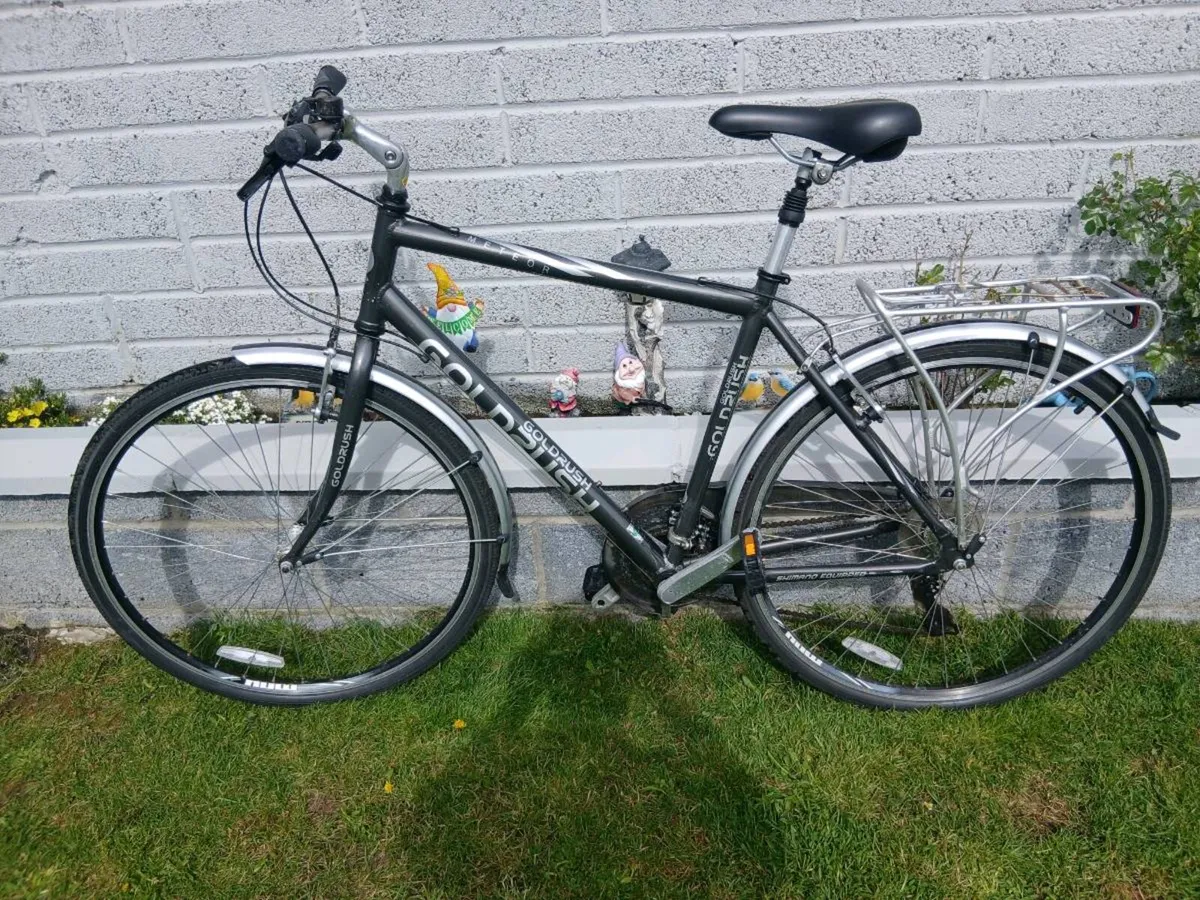 ADULTS BIKE - Image 1