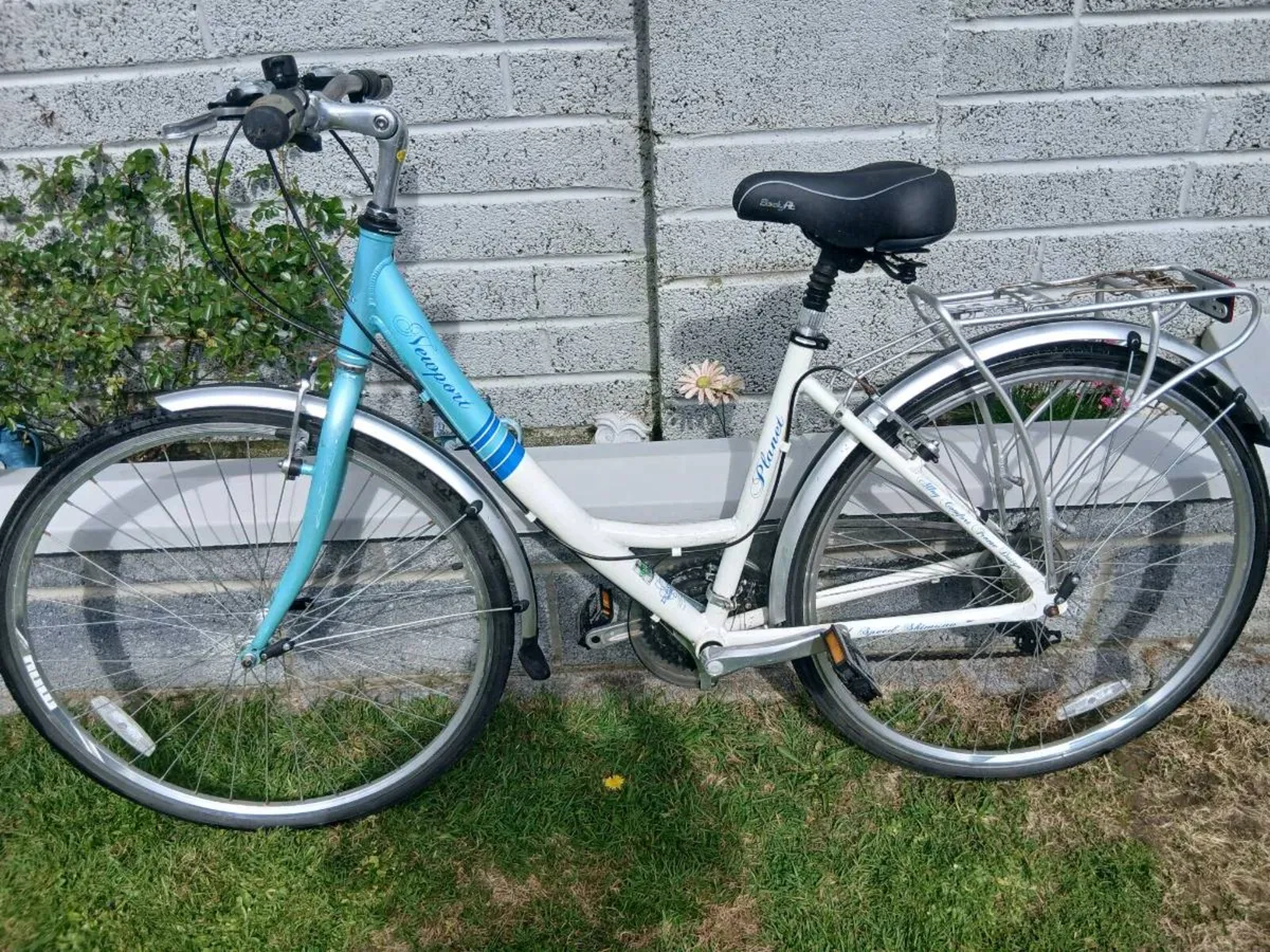 ADULTS LADYS BIKE - Image 4