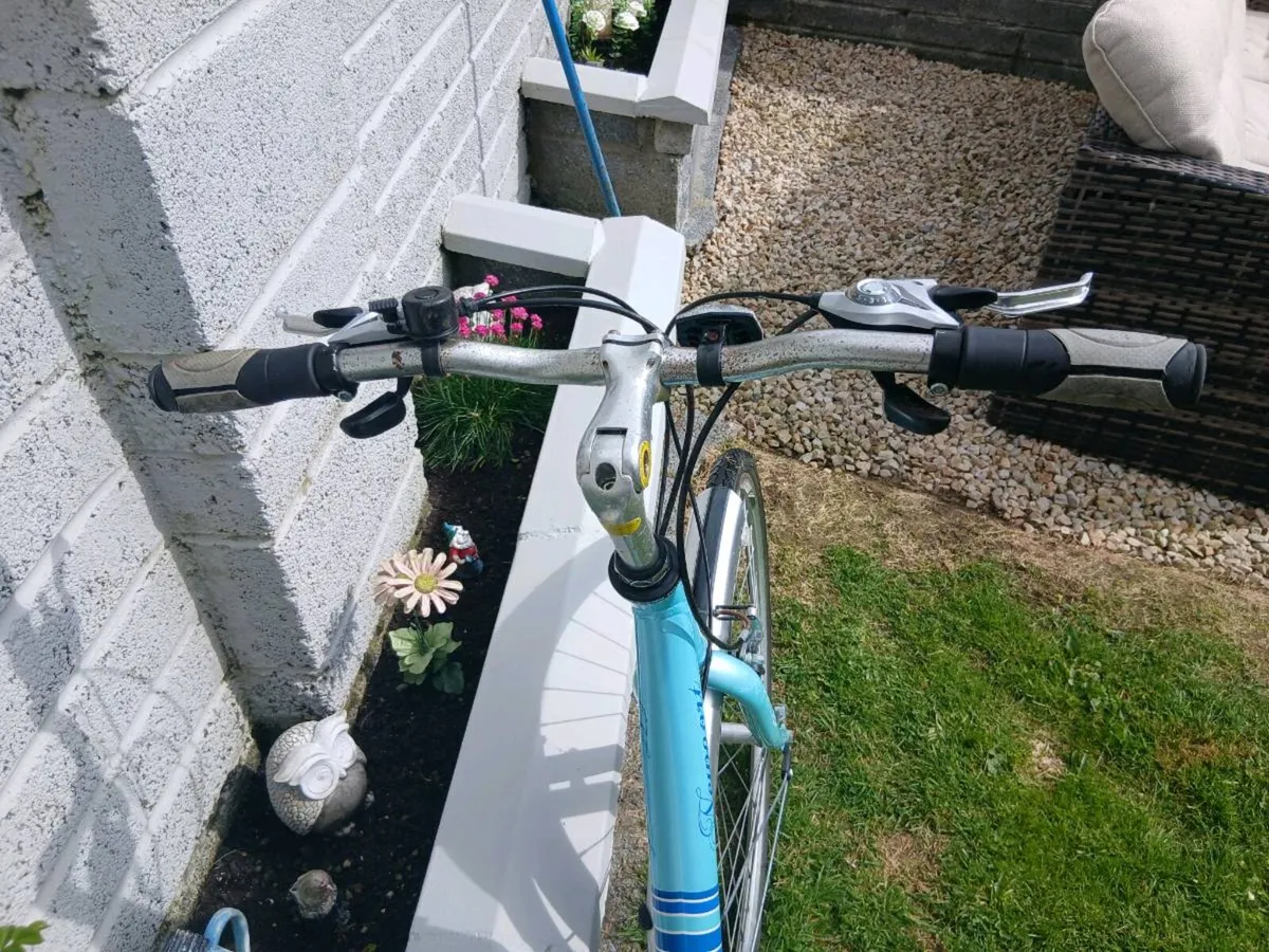 ADULTS LADYS BIKE - Image 2