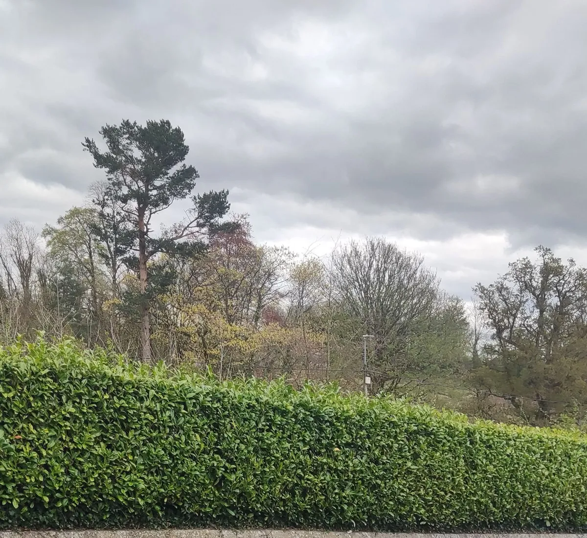 Wk 18, Offer Red  Cortyline 10 euro, 4 -30 euro - Image 4