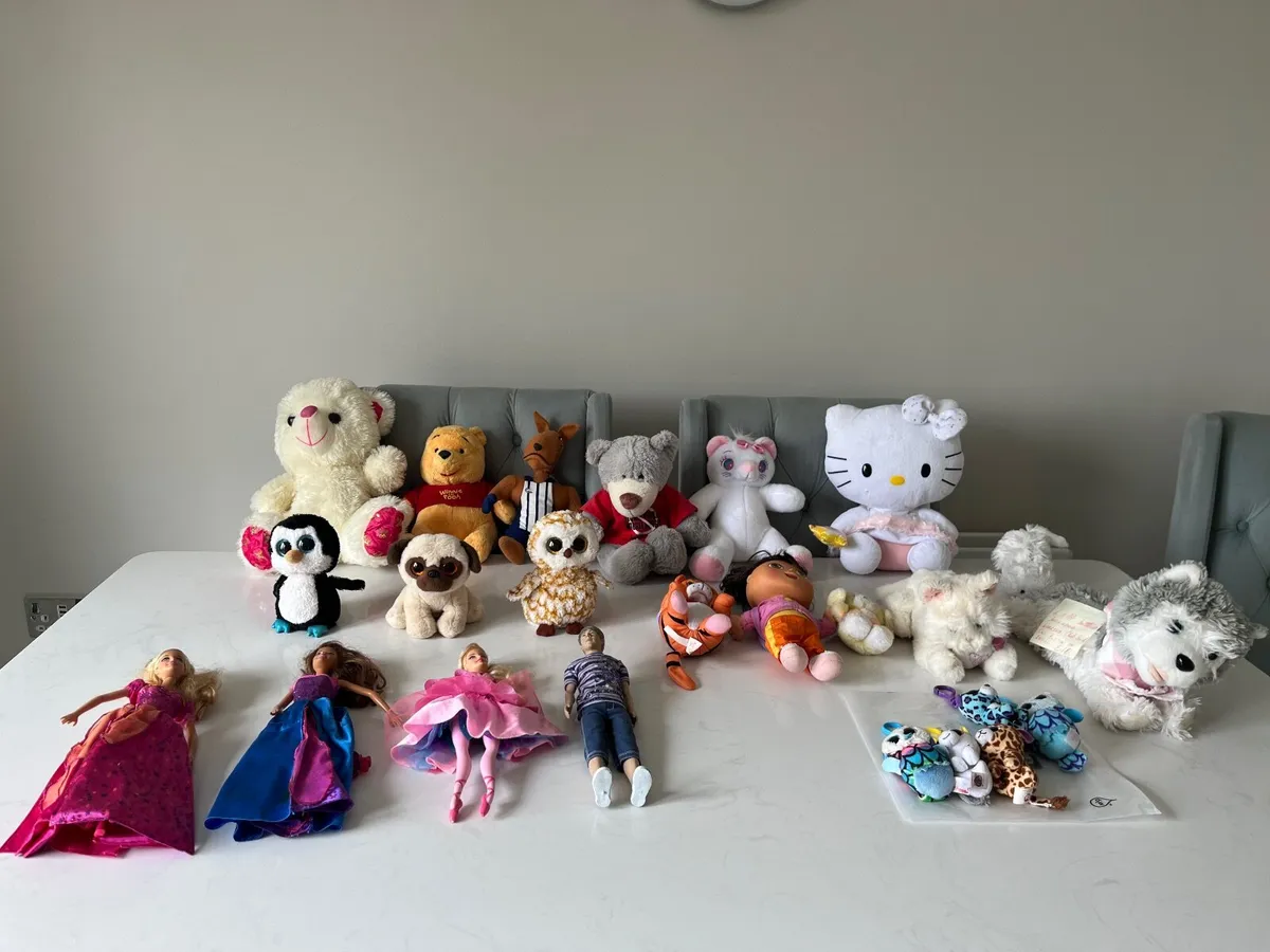 Beanie Boos, Teddys and Disney Princess dolls