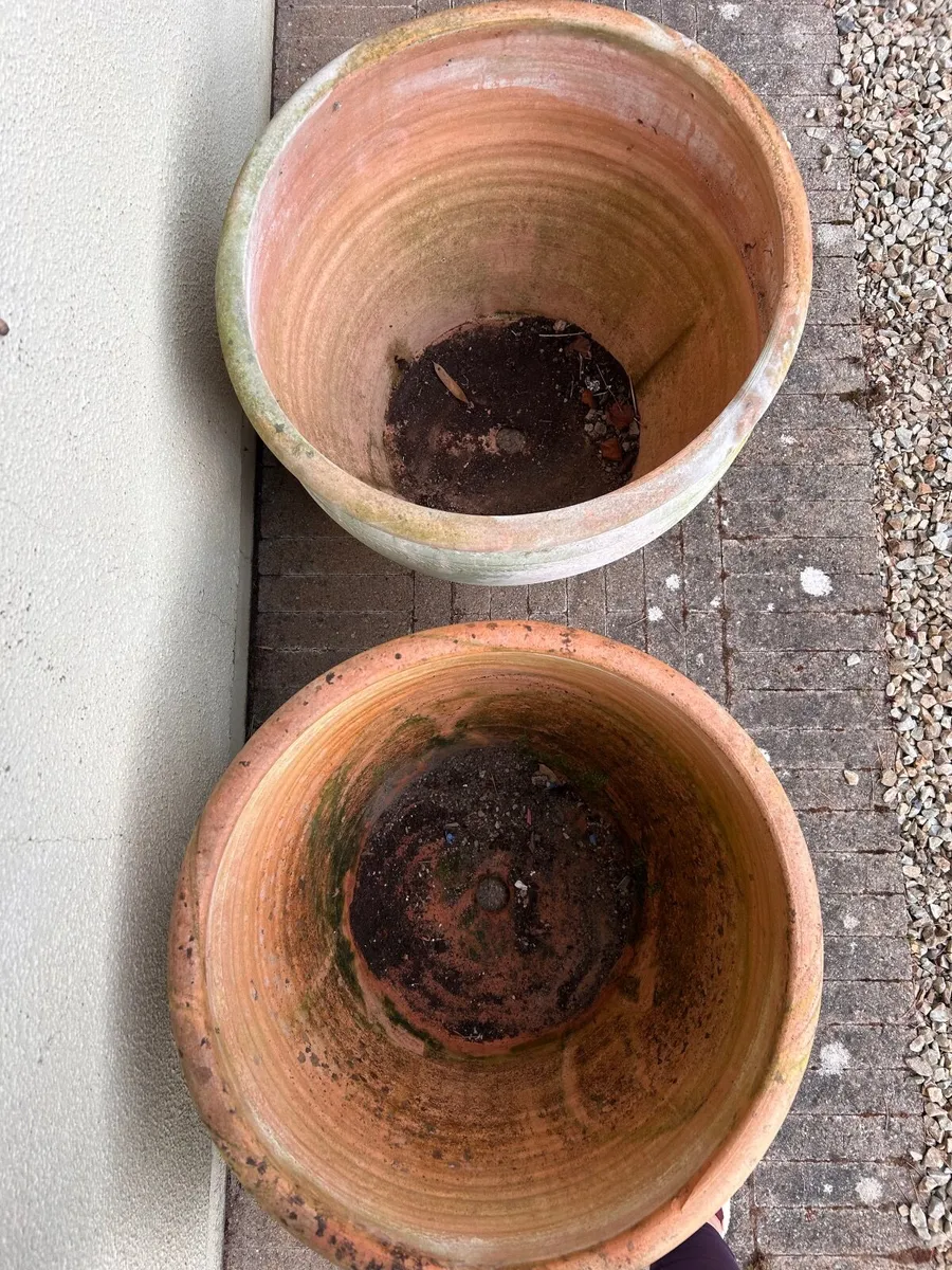 Large Terracotta Planters x 2 - Image 2