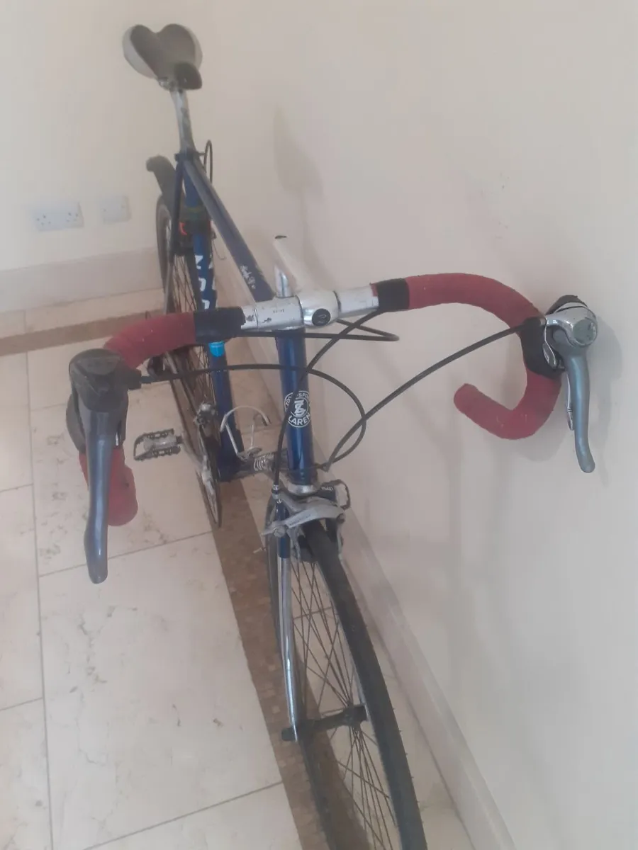 Zoon Aigle D'or large frame racer - Image 3