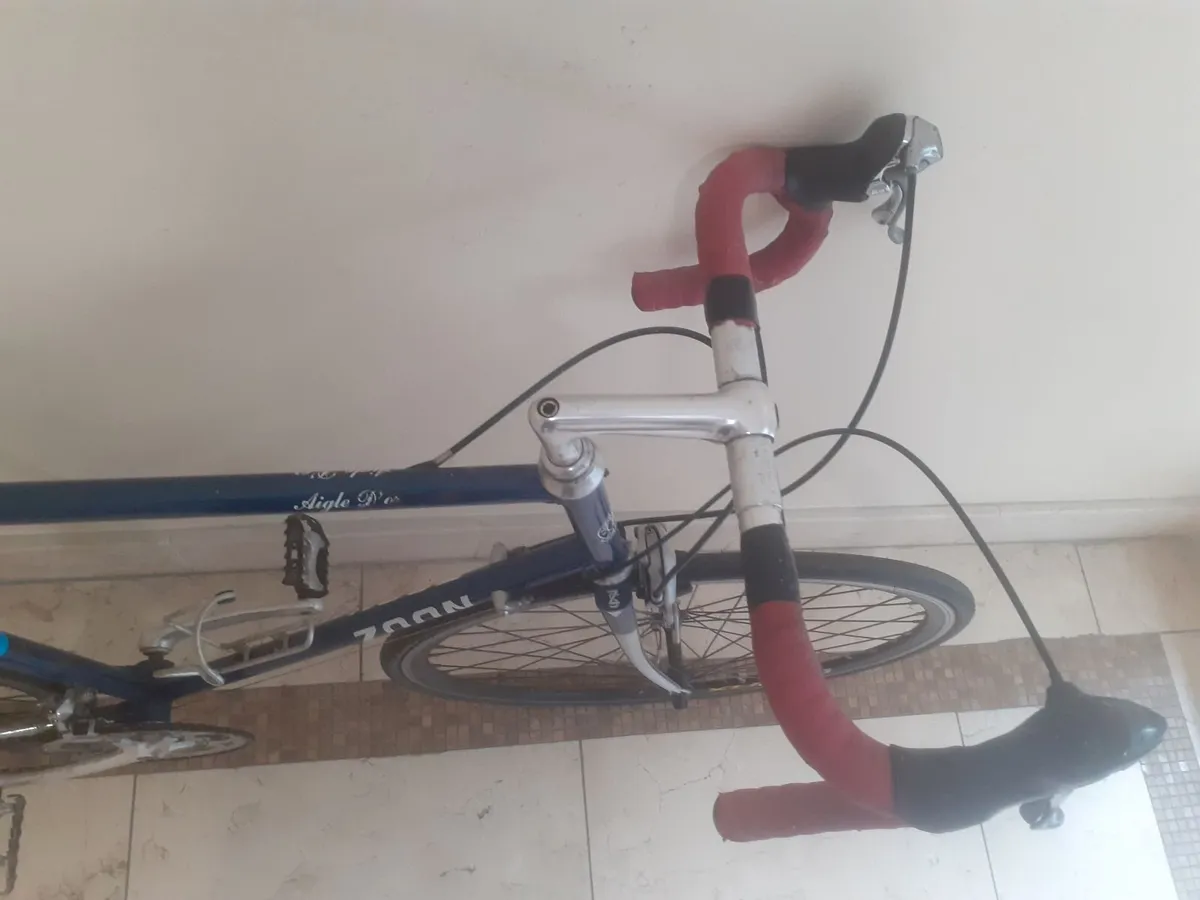 Zoon Aigle D'or large frame racer - Image 2