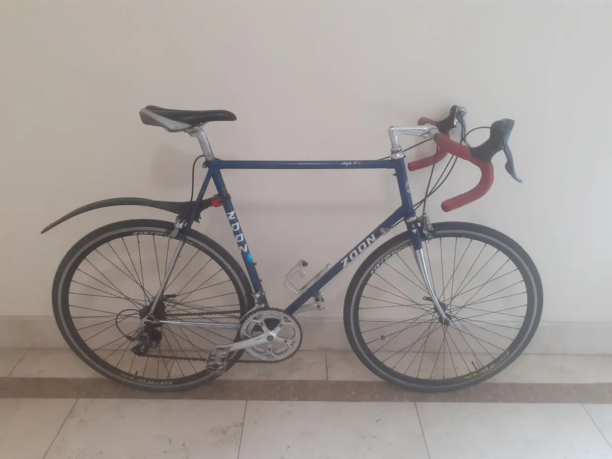Zoon Aigle D'or large frame racer - Image 1