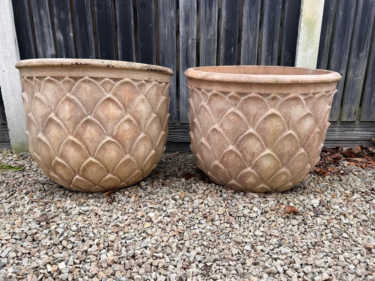 2 x Large Terracotta Planters