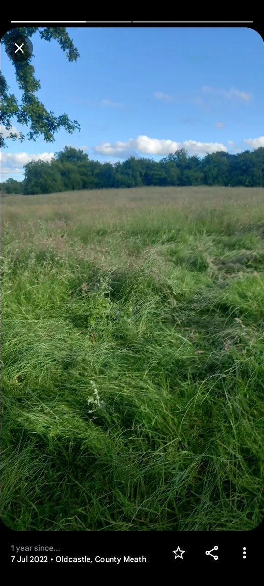 Land  rent - Image 2