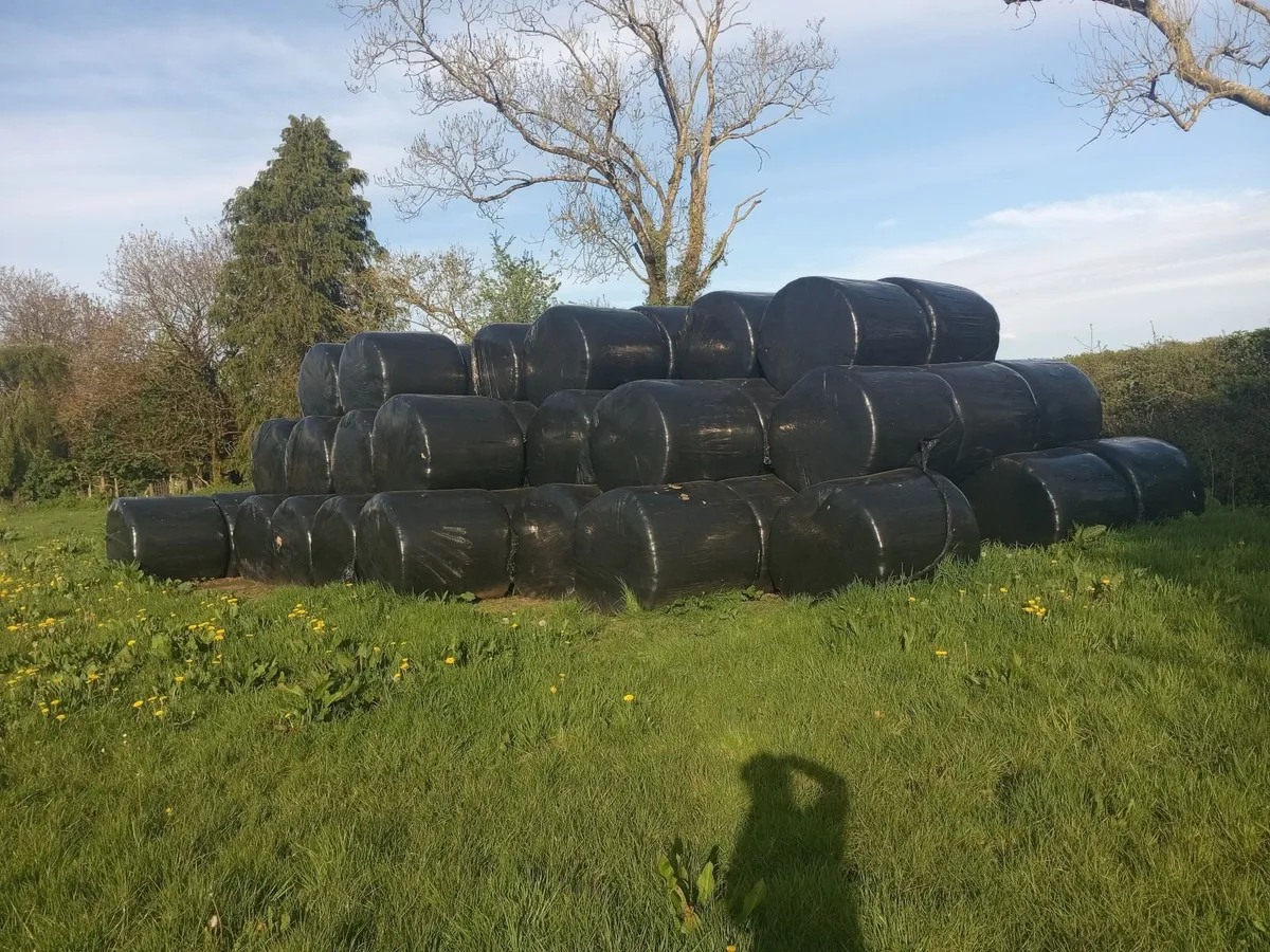 HAYLAGE BALES - Image 1