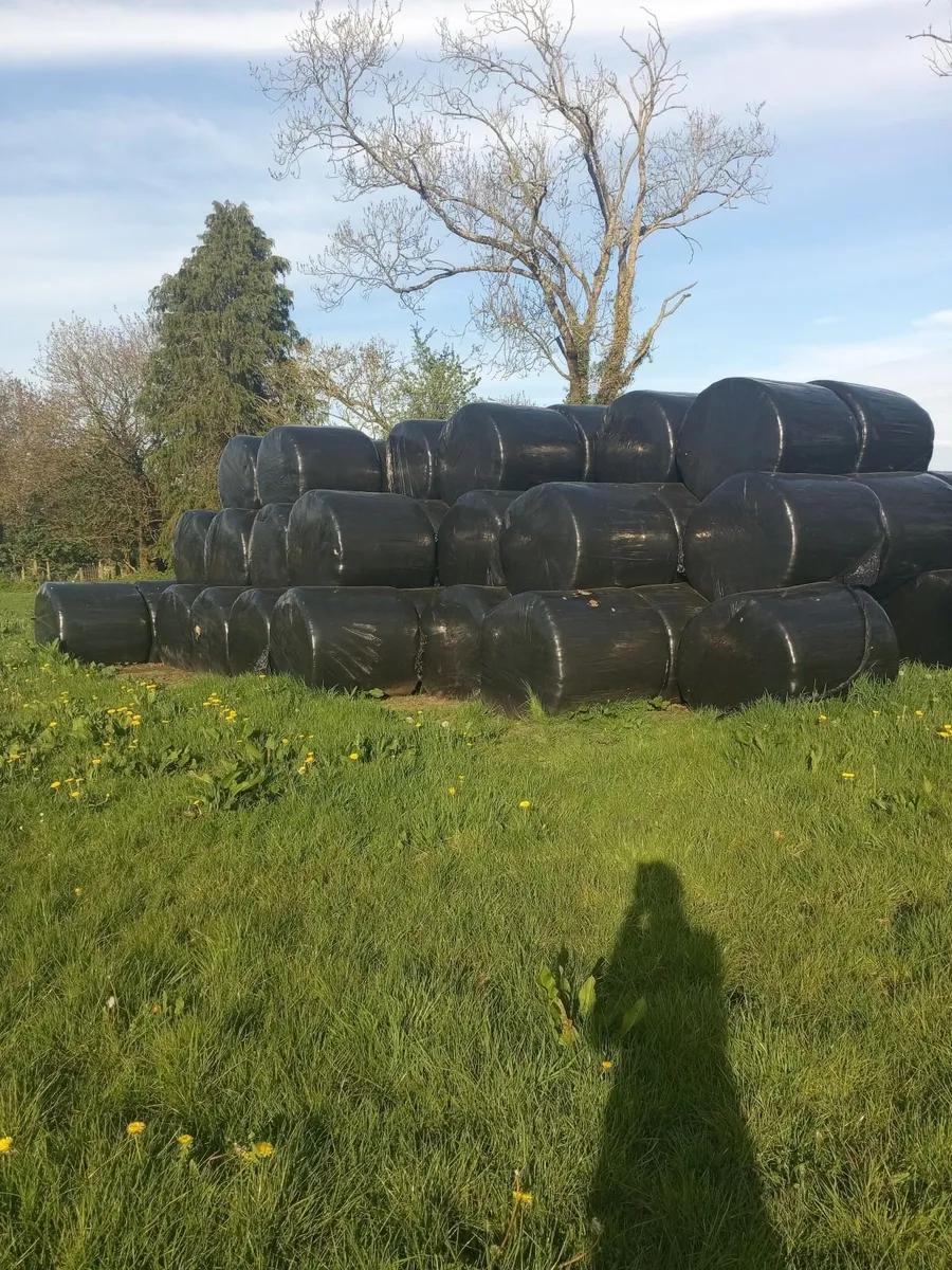HAYLAGE BALES - Image 2