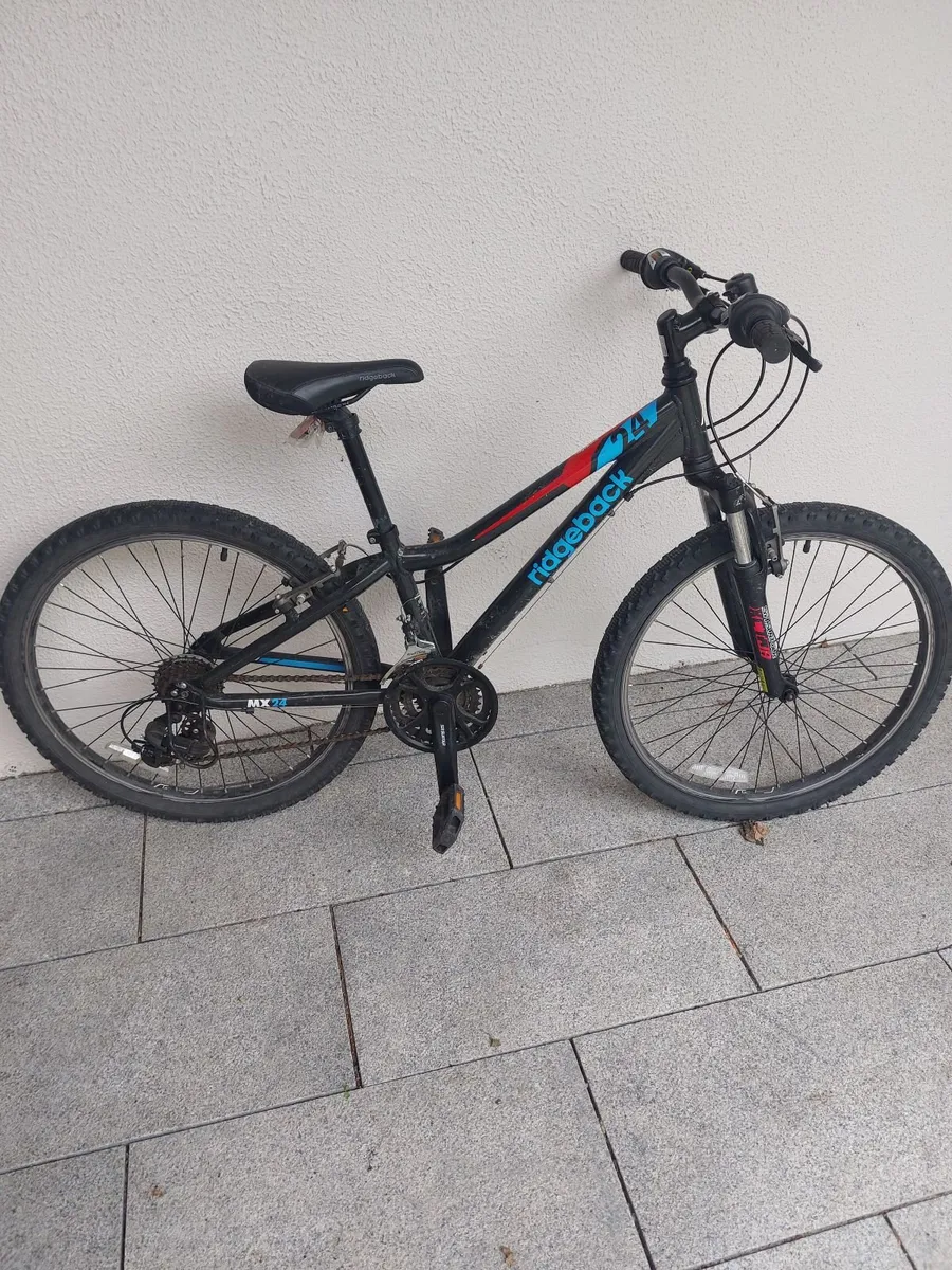 Child Bike Ridgeback MX24 - Image 3